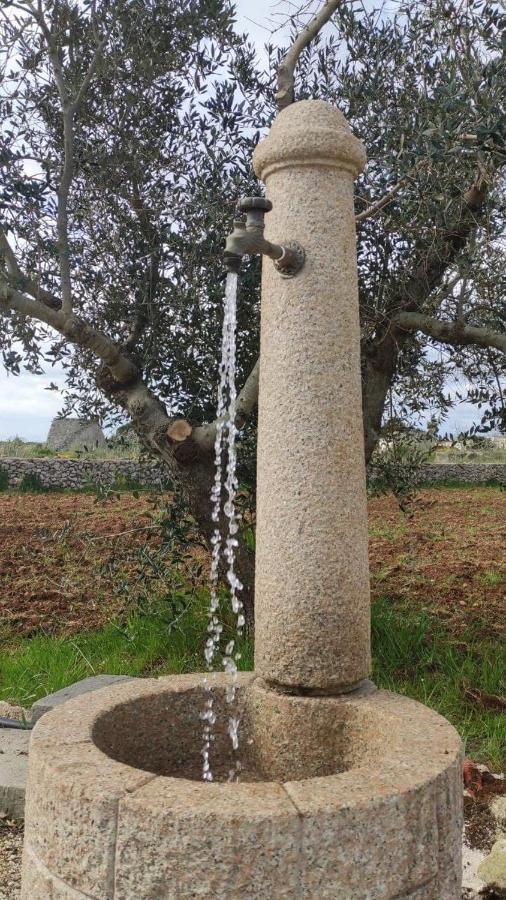 Palacca, Trullo Salentino Andrano Extérieur photo