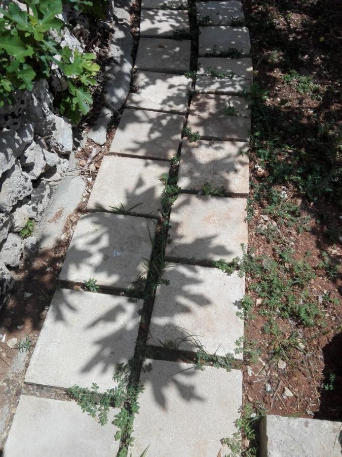 Palacca, Trullo Salentino Andrano Extérieur photo
