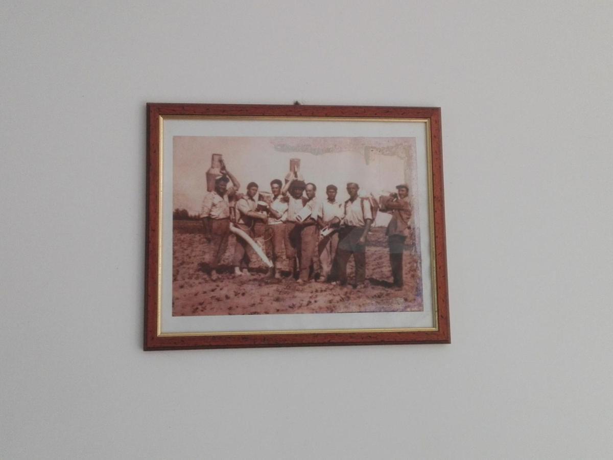 Palacca, Trullo Salentino Andrano Extérieur photo