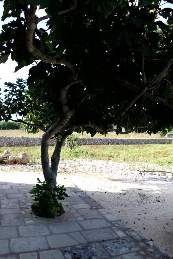 Palacca, Trullo Salentino Andrano Extérieur photo