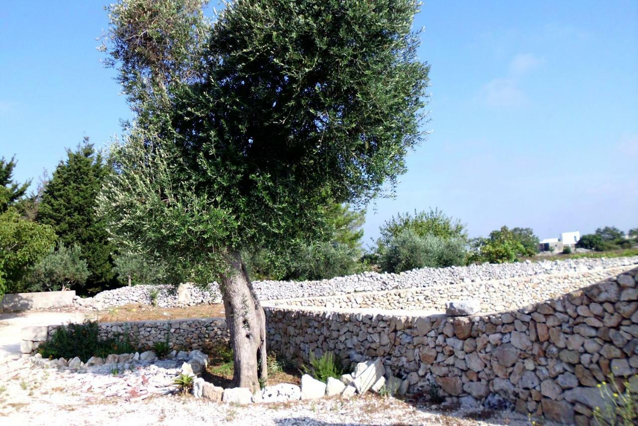 Palacca, Trullo Salentino Andrano Extérieur photo